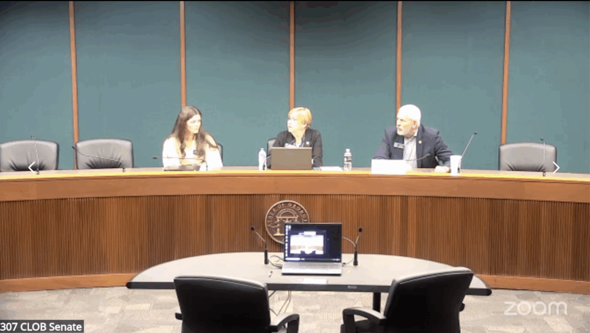 Image of Zoom meeting with Sen. Kay Kirkpatrick leading discussion