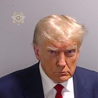 The mugshot of Donald Trump