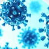 Norovirus cases rising in Georgia and South Carolina as winter begins