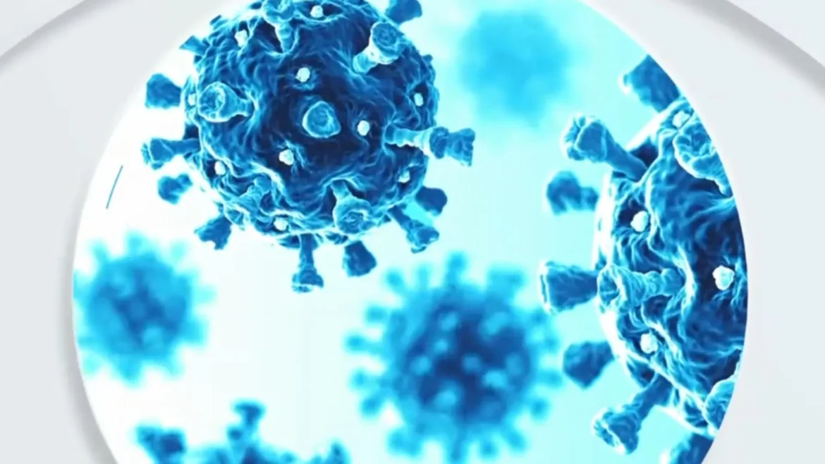 Norovirus under a microscope.