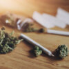 Georgia hemp producer welcomes Trump order reclassifying marijuana