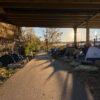 Georgia advocates push youth-focused solutions to homelessness crisis