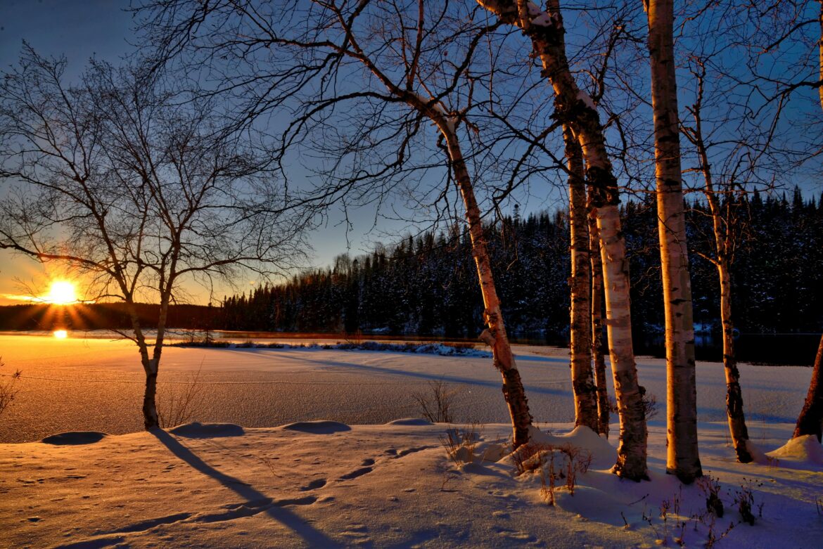 A beautiful winter landscape, photographed around dawn.