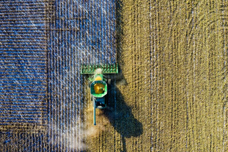 A plow harvesting several rows of crops.