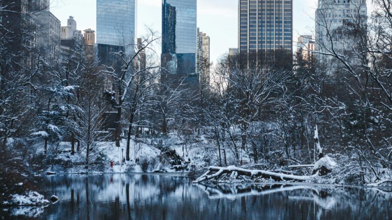 A city landscape during winter.