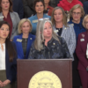 Advocates push firearm limits as Georgia domestic violence deaths rise