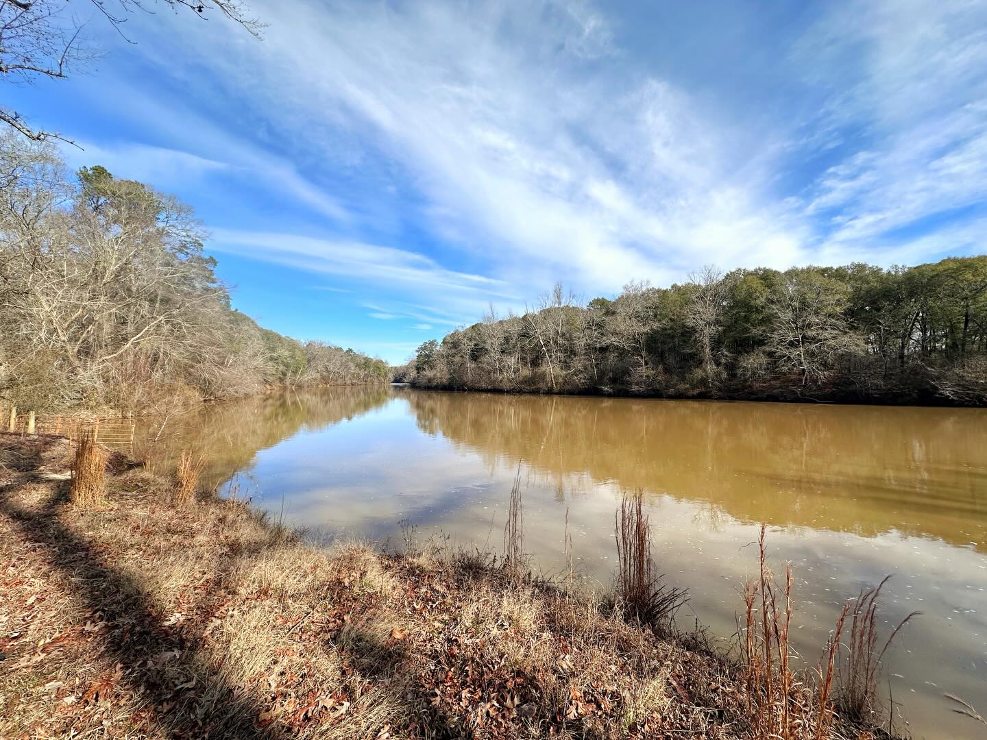 A photo of the Flint River