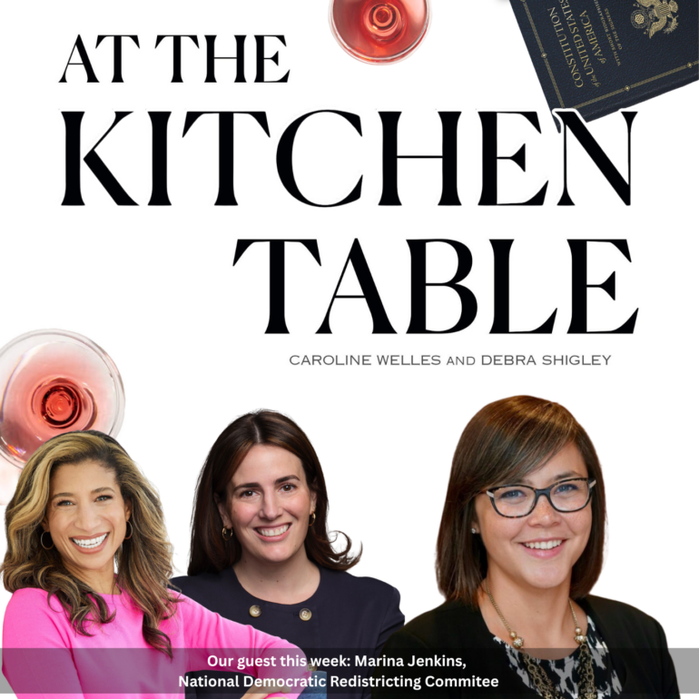 NDRC executive director Marina Jenkins came to the kitchen table for a talk about gerrymandering & redistricting.