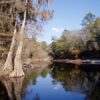 Suwannee River named 10th most endangered over pollution, water use