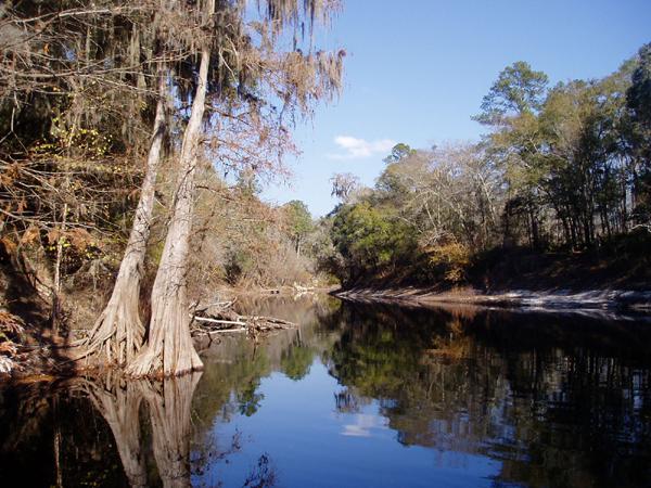 Photo of the Suwannee River in Florida