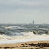 Georgia conservationists warn Gulf drilling decision threatens species