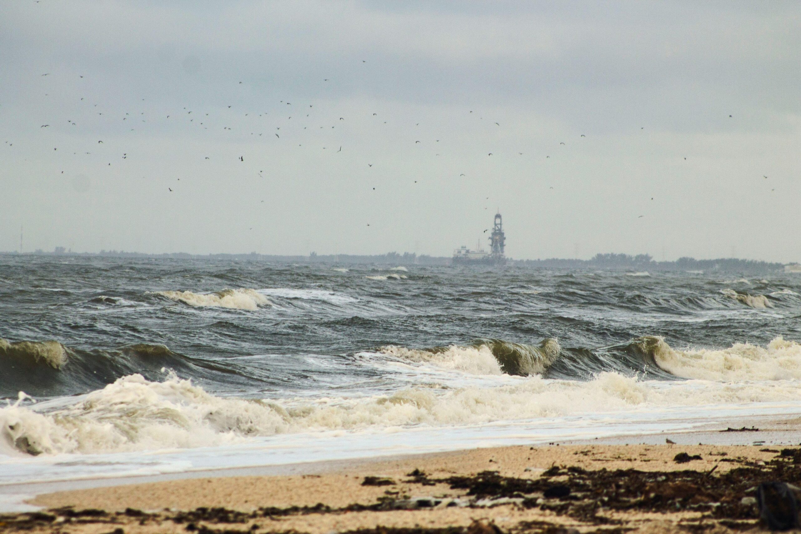 A view of the ocean with seaweed on the beach