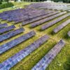 Georgia community solar expansion stalls despite bipartisan support