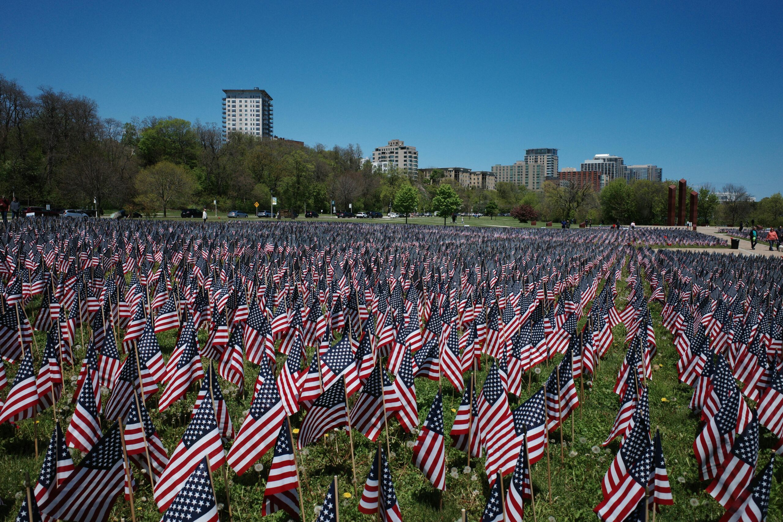 Field of U.S. flags