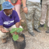 Atlanta Farm Plants Seeds of Self-Sufficiency