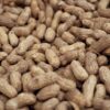 Georgia Researchers Test New Microneedle Treatment for Peanut Allergies
