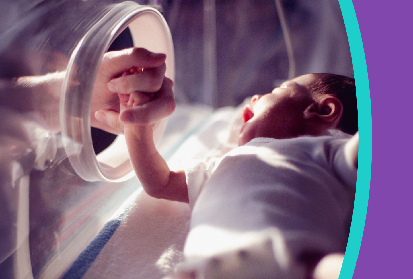 A baby holding a hand through a NICU incubator