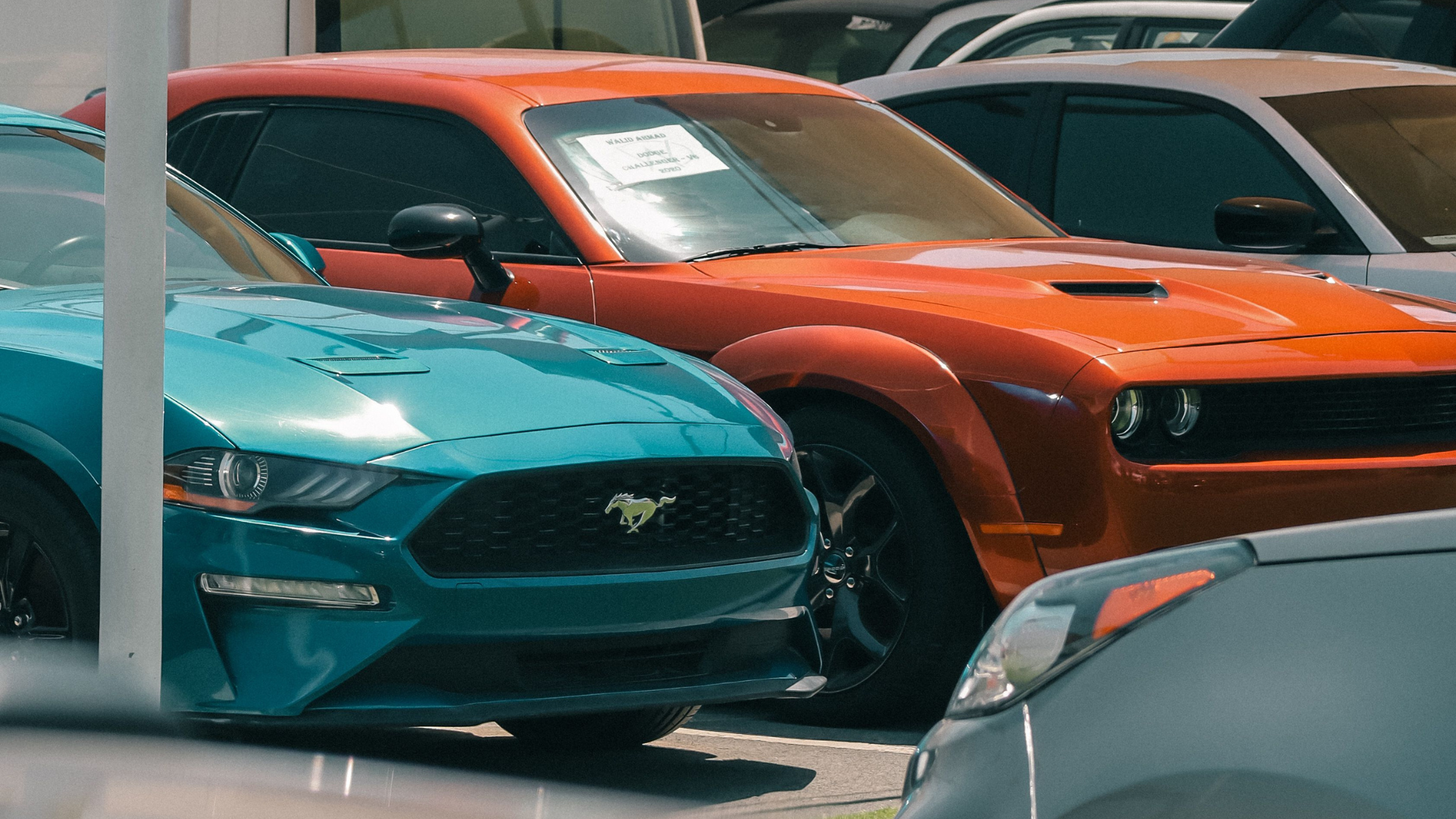 Cars in a dealership parking lot