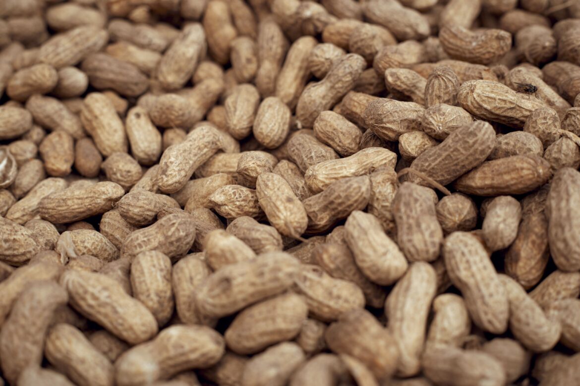 a pile of peanuts