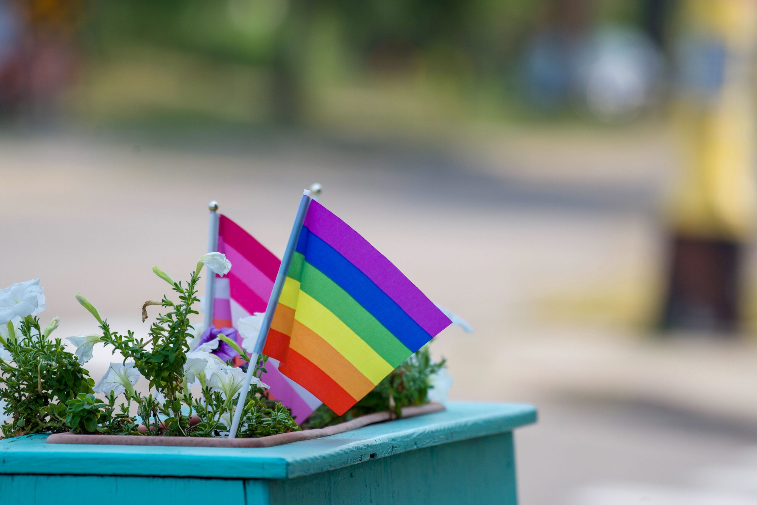 pride flags